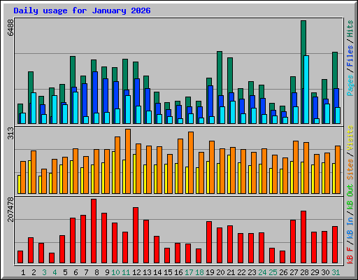Daily usage for January 2026