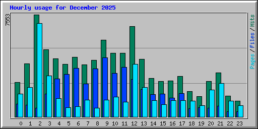 Hourly usage for December 2025
