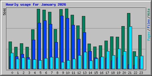 Hourly usage for January 2026