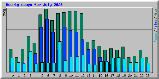 Hourly usage for July 2026