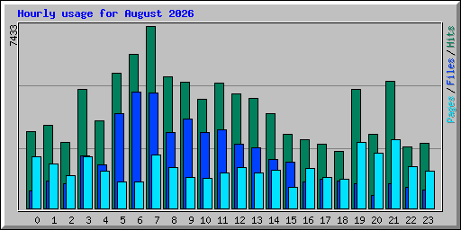 Hourly usage for August 2026